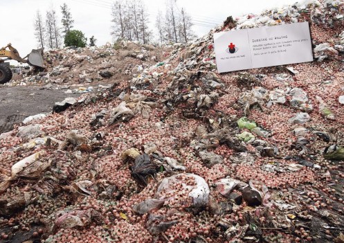 where do all the eyeballs go?