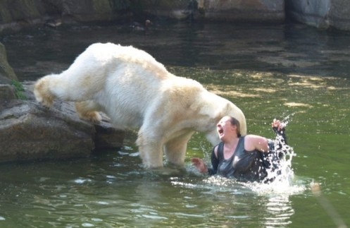 Woman attacked by polar bear at berlin zoo