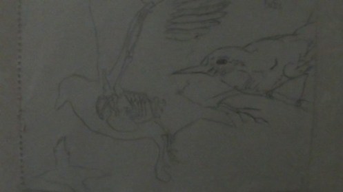 Bird Drawing