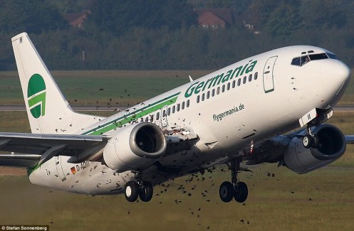 Flight into danger - A flock of starlings fly straight into the path of the Boeing airliner as it lifts off at 200mph