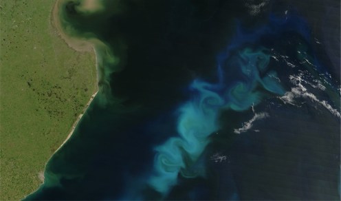 Ocean fertilization can trap atmospheric carbon - Sydney Dust Storm Proves Geoengineering the Oceans Could Work Ocean fertilization can trap atmospheric carbon - Sydney Dust Storm Proves Geoengineering the Oceans Could Work