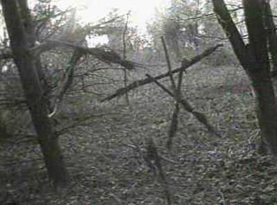 The Blair Witch Project (1999)