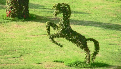 photo taken by Kashif Mardani