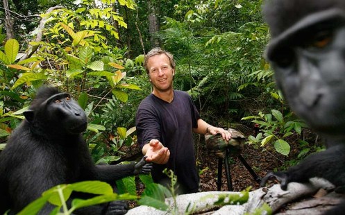 Slater, from Coleford, Gloucestershire, was taking photos of macaques on the Indonesian island of Sulawesi in 2011 when the animals began to investigate his equipment