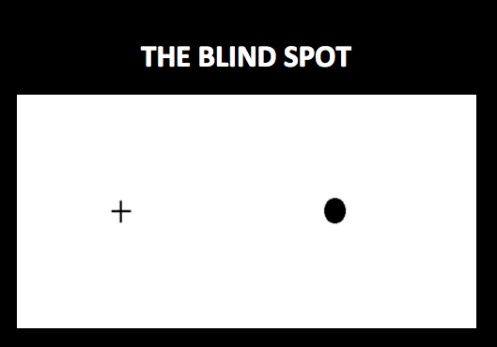 The Blind Spot