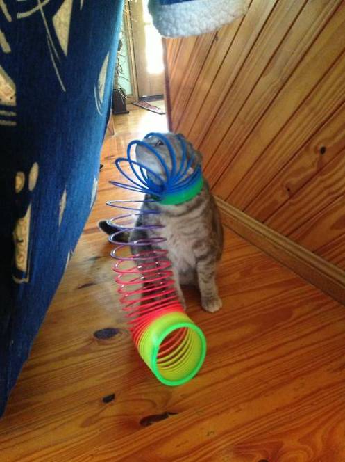 A Slinky