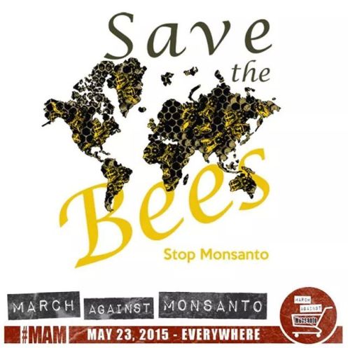 Bees of New Zealand, sorry guys, you’re on your own.