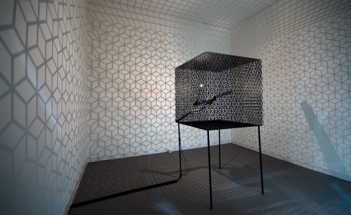 Conrad Shawcross,