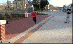 Parkour GIFs That Never Fail To Fail&nbsp;2