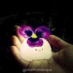 tumblr_o8cvhdI9xf1rrcri6o4_500