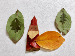japon-origami-feuilles-plantes-14